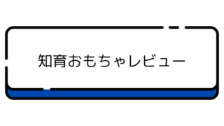 知育おもちゃレビュー